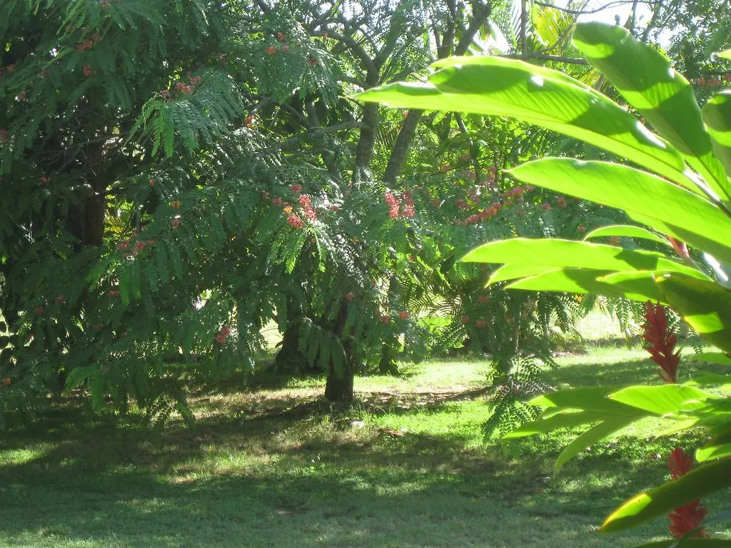Magnetic Island Bed And Breakfast Horseshoe Bay Australia