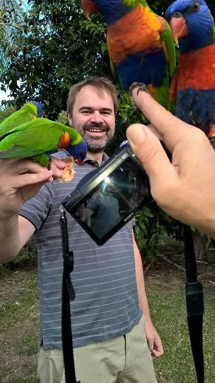 Bed & Breakfast Magnetic Island Bed And Breakfast Horseshoe Bay