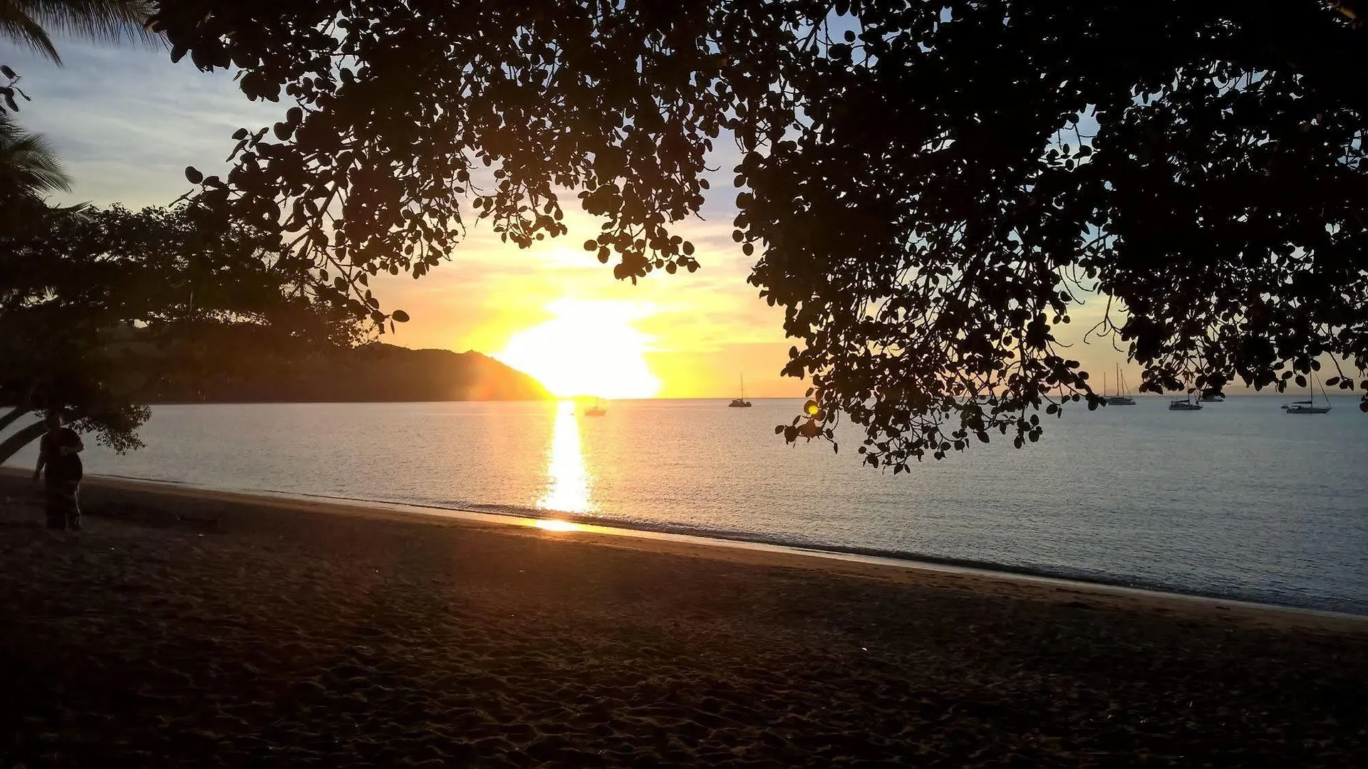 Magnetic Island Bed And Breakfast Horseshoe Bay Bed & Breakfast