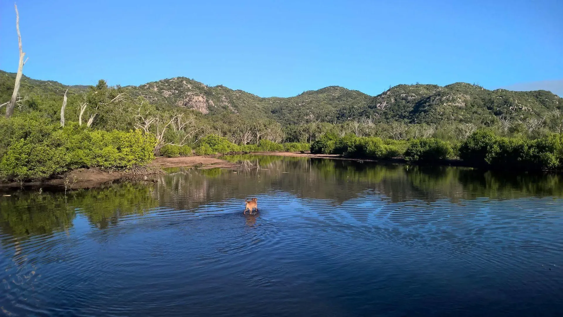 Magnetic Island Bed And Breakfast Horseshoe Bay Australia